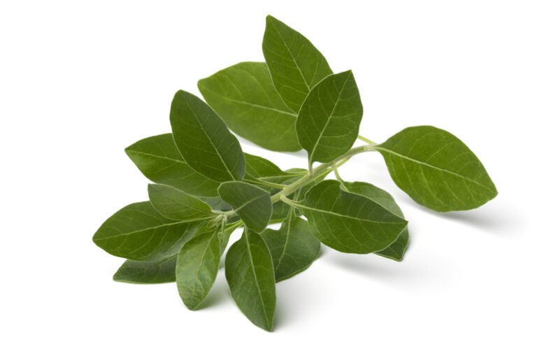 Ashwagandha 2