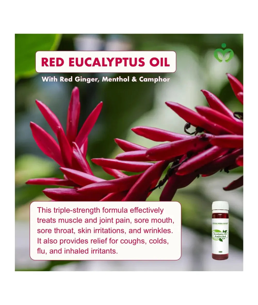 Red Eucalyptus Oil, Blend with Ginger, Menthol and Camphor