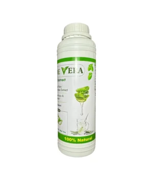 Pure Aloe Extract, Digestive and Immune Support