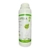 Aloe Vera Herbal Extract - 99.5% Pure Supplement for Digestion, Immunity & Heart Health