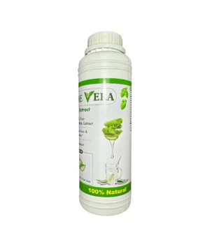 Aloe Vera Herbal Extract - 99.5% Pure Supplement for Digestion, Immunity & Heart Health