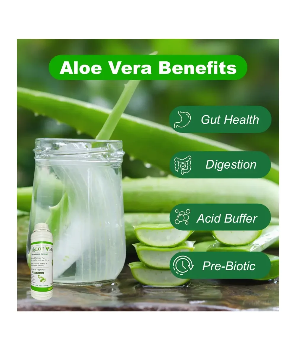 Pure Aloe Extract, Digestive and Immune Support