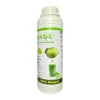 Pure Cabbage Juice Extract - Superfood for Detox, Immunity, Weight Loss and Digestive Health