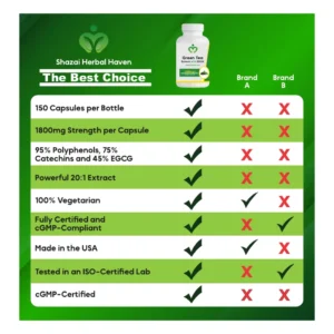 Green Tea Extract Capsules | 1800 mg EGCG for Energy, Metabolism & Antioxidant Support