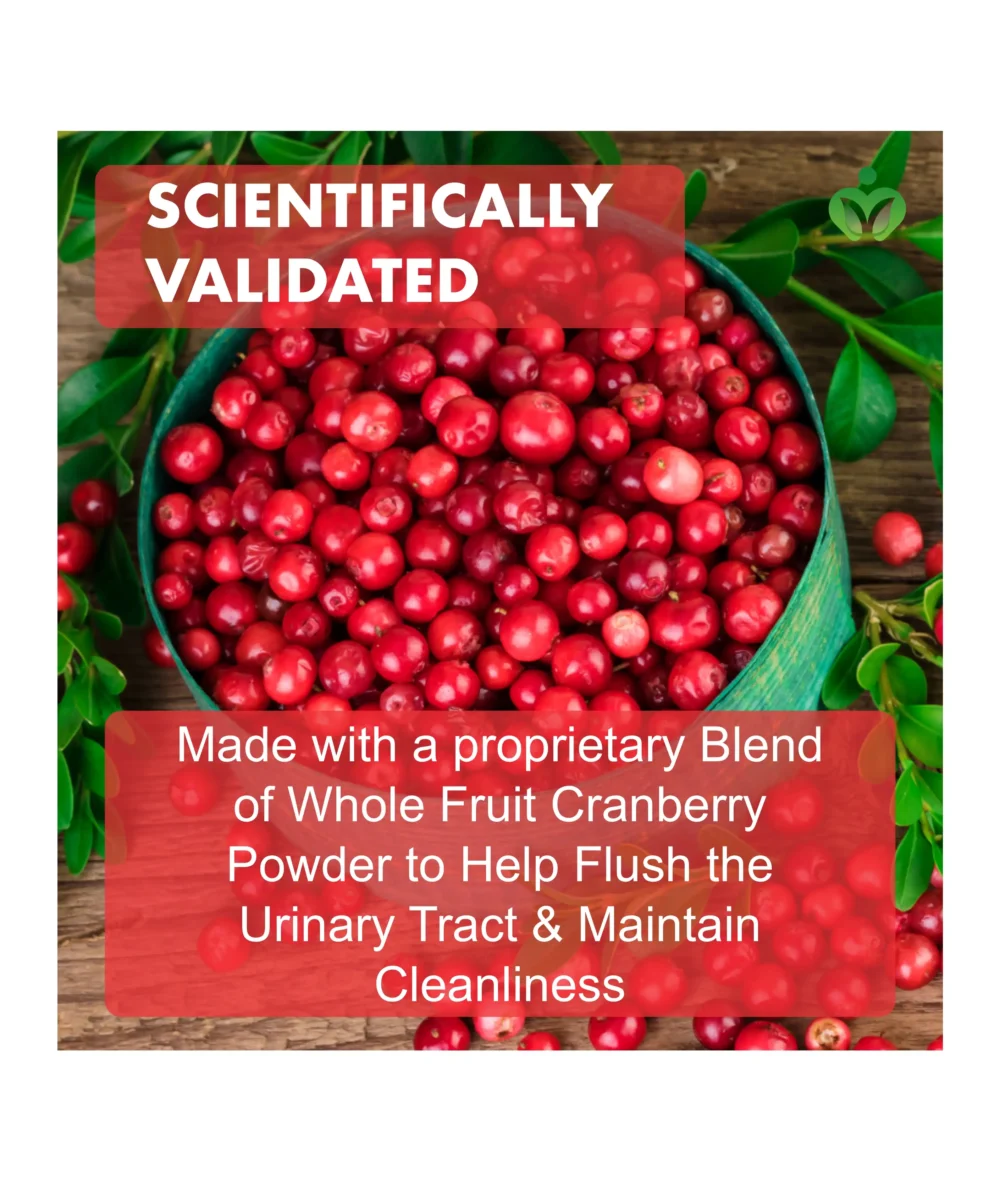 Cranberry Concentrate Extract plus Vitamin C