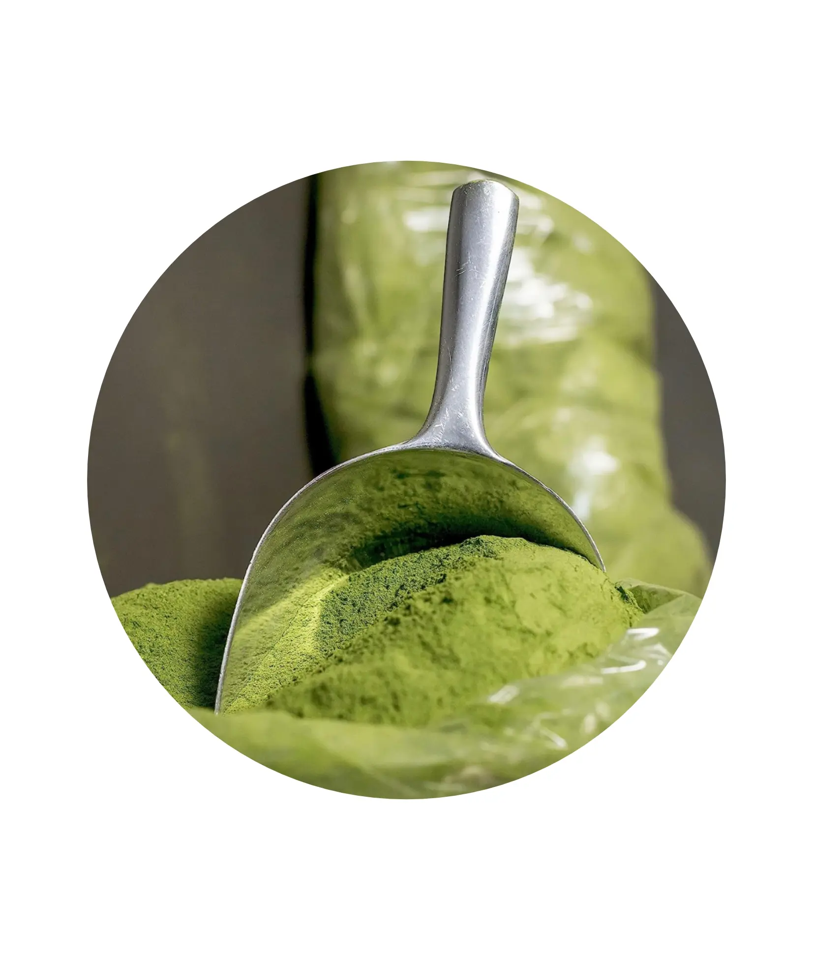 Bulk Pure Moringa Powder, Premium Organic Superfood