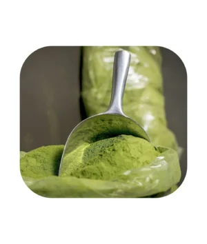 High-Quality Moringa Powder