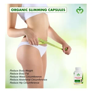 Weight Management Combo, Supports Weight Loss