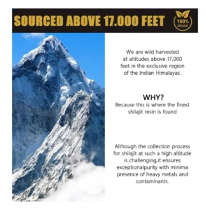 Pure Himalayan Shilajit Resin Boosts Vitality