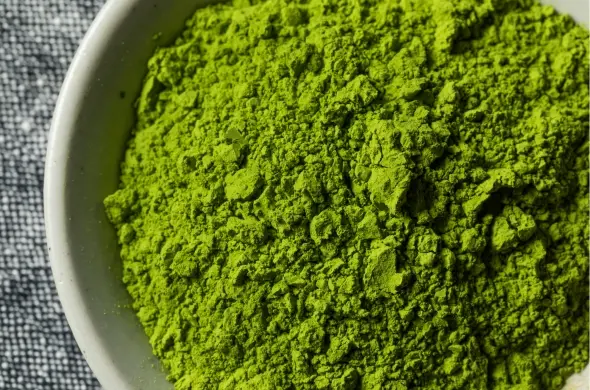 Unlocking the Power of the Miracle Tree: The Remarkable Benefits of Moringa