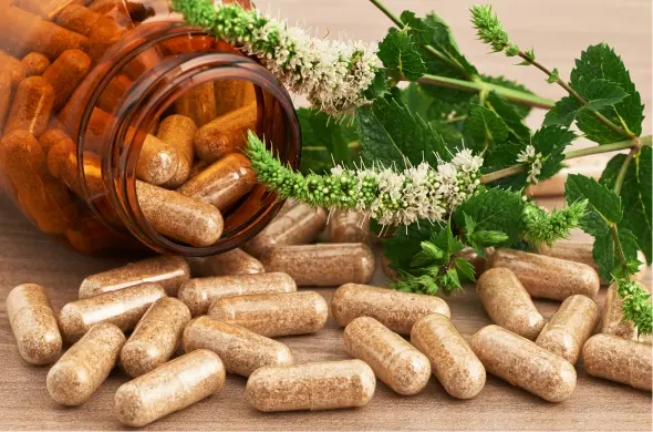 Ultimate Healing with Herbal Remedies and Natural Medicine